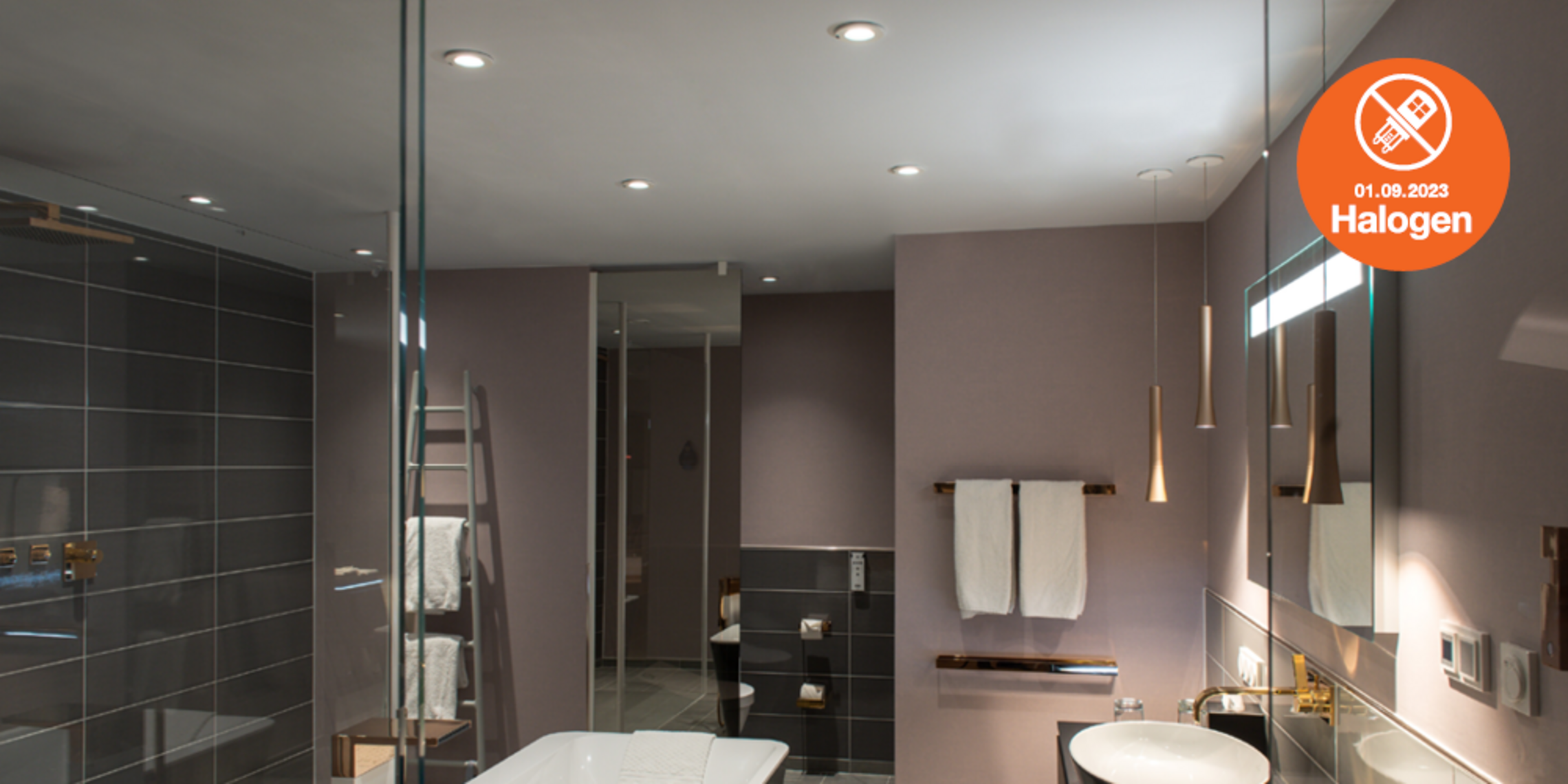 Lösungen zum Halogenlampen Verbot bei Elektro-Steiger GmbH in Bad Elster