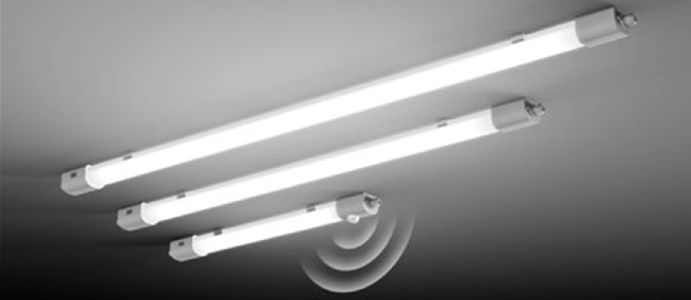 Planox Feuchtraumleuchten bei Elektro-Steiger GmbH in Bad Elster